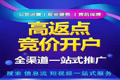 竞价推广代运营服务效果展示